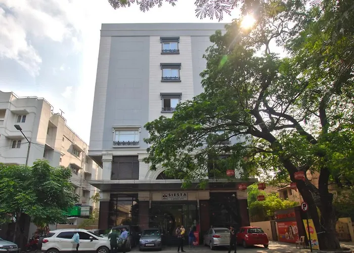 Siesta Star T. Nagar